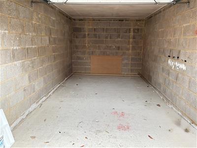 Picture 15
